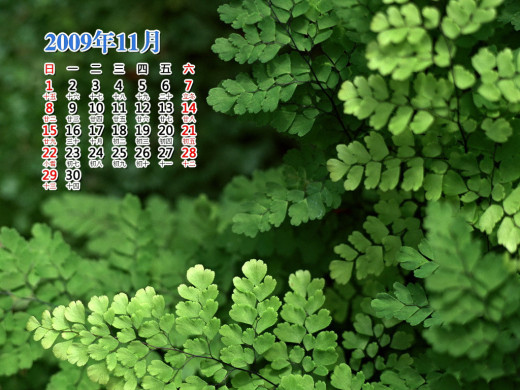 400611 (a): :1024x768